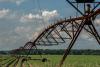 Tennessee soybean farmers get morale boost from better prices, but future remains ‘daunting’