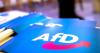 Germany is considering the illegalization of the far-right AfD with the Government divided