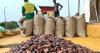 Ghana’s cocoa production expected to fall 16% next season
