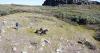 Microbes frozen in rubbish heaps reveal early life in Greenland