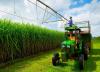 South Africa's sugar industry faces crisis as imports surge