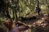 Gorillas scarred by poaching learn to trust again. And it might help save them.