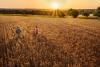Agricultural Education Gets $40,000 Boost