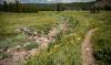 Ancient hunters stopped using a Montana bison kill site after drought dried a crucial creek