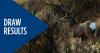 Now available: Controlled hunt drawing results for deer, elk, pronghorn, fall bear, turkey, and swan