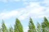 Wednesday will be windier but warmer in Latvia