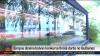 Latvian seedling cultivator in line for prestigious design prize