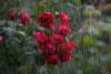 WEATHER: Severe storms with heavy rain to batter South Africa