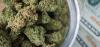 Illinois Sets New Monthly Cannabis Sales Record After Doubling Purchase Limits