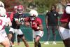 2026 Alabama Preview and Predictions: Running Backs