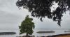 Santa Rosa County unveils new Floridatown Park Living Shoreline Project