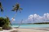 Colonial-Era Coconut Farms Pose Risks To The Survival Of Pacific Atolls
