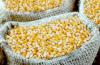 Cameroon Launches Northern Farming Season Amid Food Security Concerns