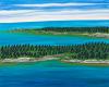 Maine Art Gallery honors the natural beauty of the state with ‘Song of the Wild’