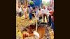 Ludhiana: Over 8-hr outage hits key areas as MC repair work damages cable