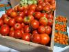 Experience Tomato Contests And Wellness Activities In Lawton