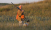 Hunting roe deer and red deer is permitted in Moldova