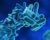 No additional cases of Legionnaires’ disease in Cayman