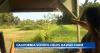 California sixth graders help raise money for Hawaiian teaching farms after Kona Low floods