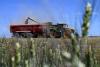 Slovak farmers embark on their earliest barley and pea harvests yet