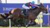 Hot And High and Vatican Storm re-engage for second clash in Listed $125,000 Belmont Guineas