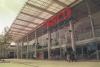 Every Lidl helps: German grocer’s owner poised to snap up Tesco stores