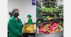 "Shipping pitahaya containers to Europe is no longer a gamble"