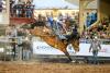 Rodeo to showcase Colorado’s historic cowboy and cowgirl culture