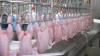 African imports of Brazilian chicken surpass 1 million tonnes in 2025