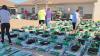 Kansas program gives low-income and elderly residents gardening kits to grow their own food