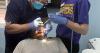 Local dentists, students provide dental care, education in Belize