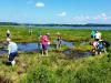 Seacoast Wild Edibles Workshop Offered July 11 by NH’s Becoming an Outdoors Woman Program
