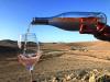 Israeli wine – we knew it was good did we realise it was this good?!