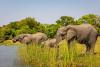 Gold rush endangers wildlife