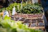 From opera to orchards: Inside the immigrant stories and resilience fueling 50 years of the Aptos farmers market