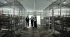 Florida owes $603 million on Alligator Alcatraz contracts