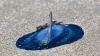 Hundreds of blue and shiny creatures wash up on Welsh beaches