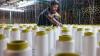 Textile Exchange Reports Reveal Record Global Fiber Production