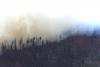 GPS interference from military jamming linked to fatal New Mexico plane crash, report finds