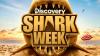 Shark Week 2026 Schedule: Full Lineup Of Premieres