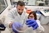 Israeli drug-free nanomedicine gives fresh hope in battling aggressive breast cancer