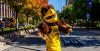 Marquette Soccer, The Preseason United Soccer Coaches Poll, And You