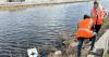 It's All Elementary: Part 2–Phosphorus