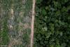 Suriname will not be saved by soybeans (commentary)