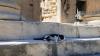 Wildfires and Extreme Heat Disrupt Travel Across Southern Europe
