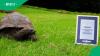 World's oldest tortoise celebrates incredible 194th birthday