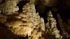 This cave fish is Alabama’s rarest animal. Here’s why 