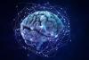 Scientists Just Challenged a 70-Year-Old Myth About the Human Brain