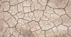 Drought Conditions Are Expected To Persist Through Summer