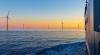 North Sea reaches warmest temperature ever recorded in Dutch waters